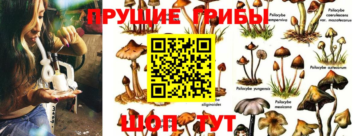Псилоцибиновые грибы Psilocybe  даркнет сайт  Озёры  Вход с VPN 